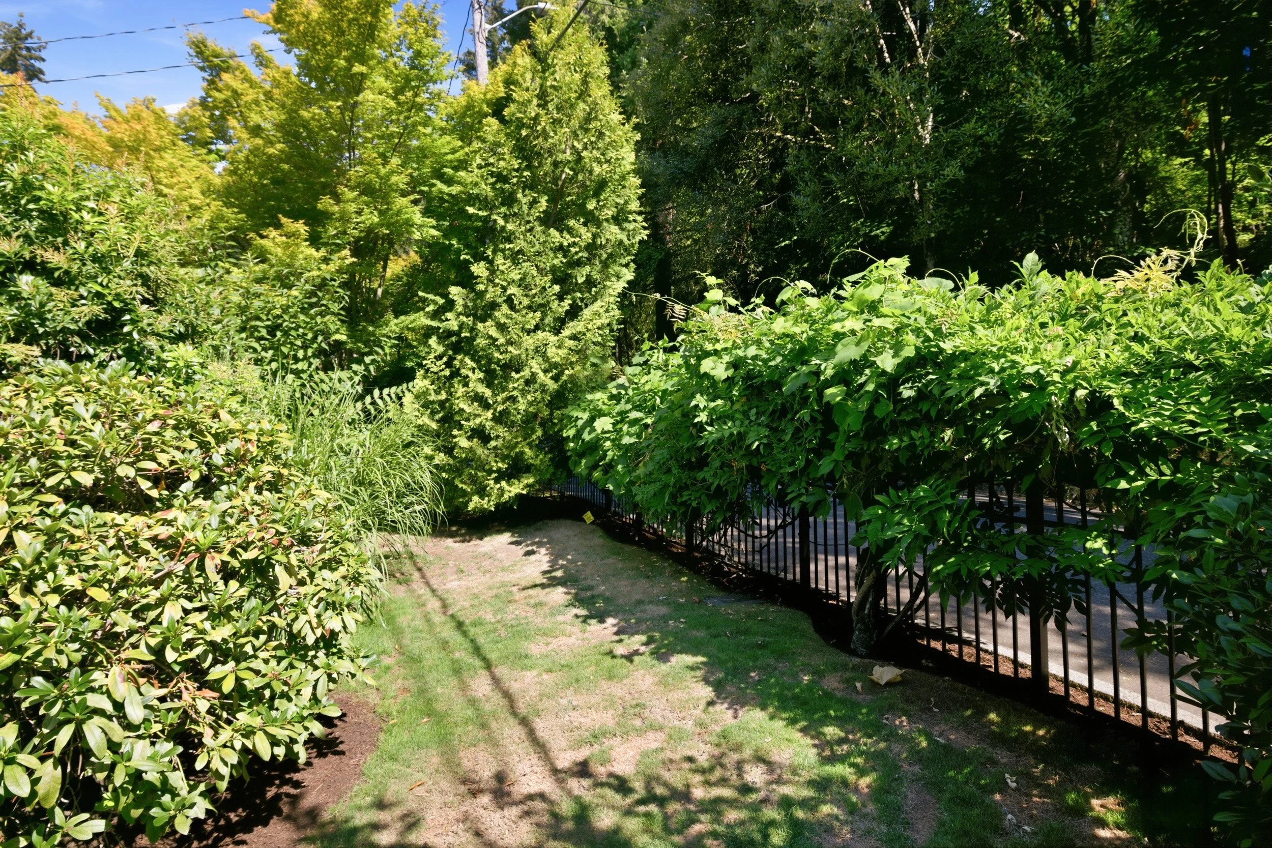 Photo-6.jpg