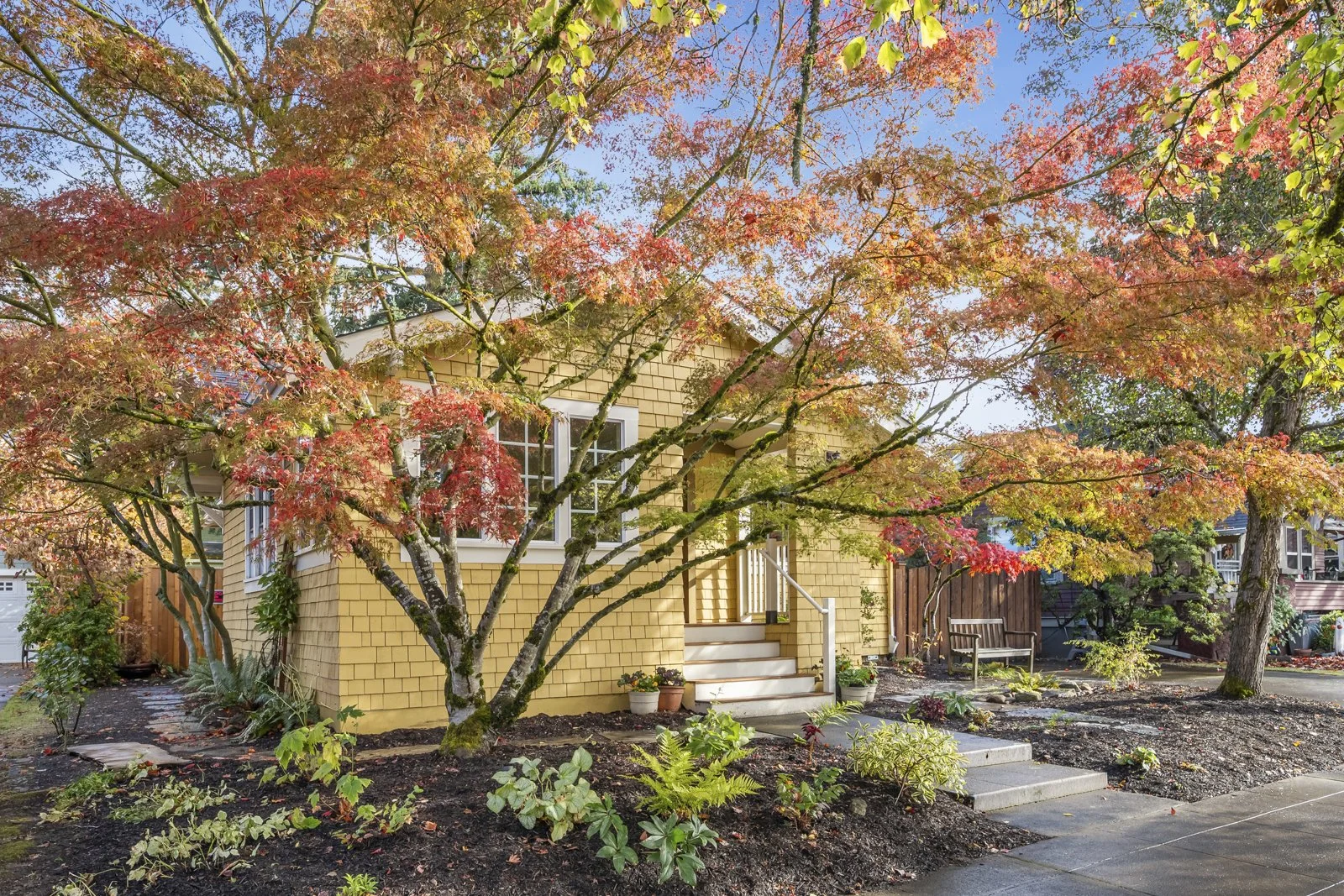 NE-53.jpg