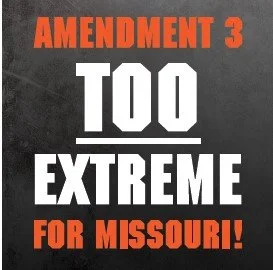 Vote YES on 3 — Freedom Principle MO