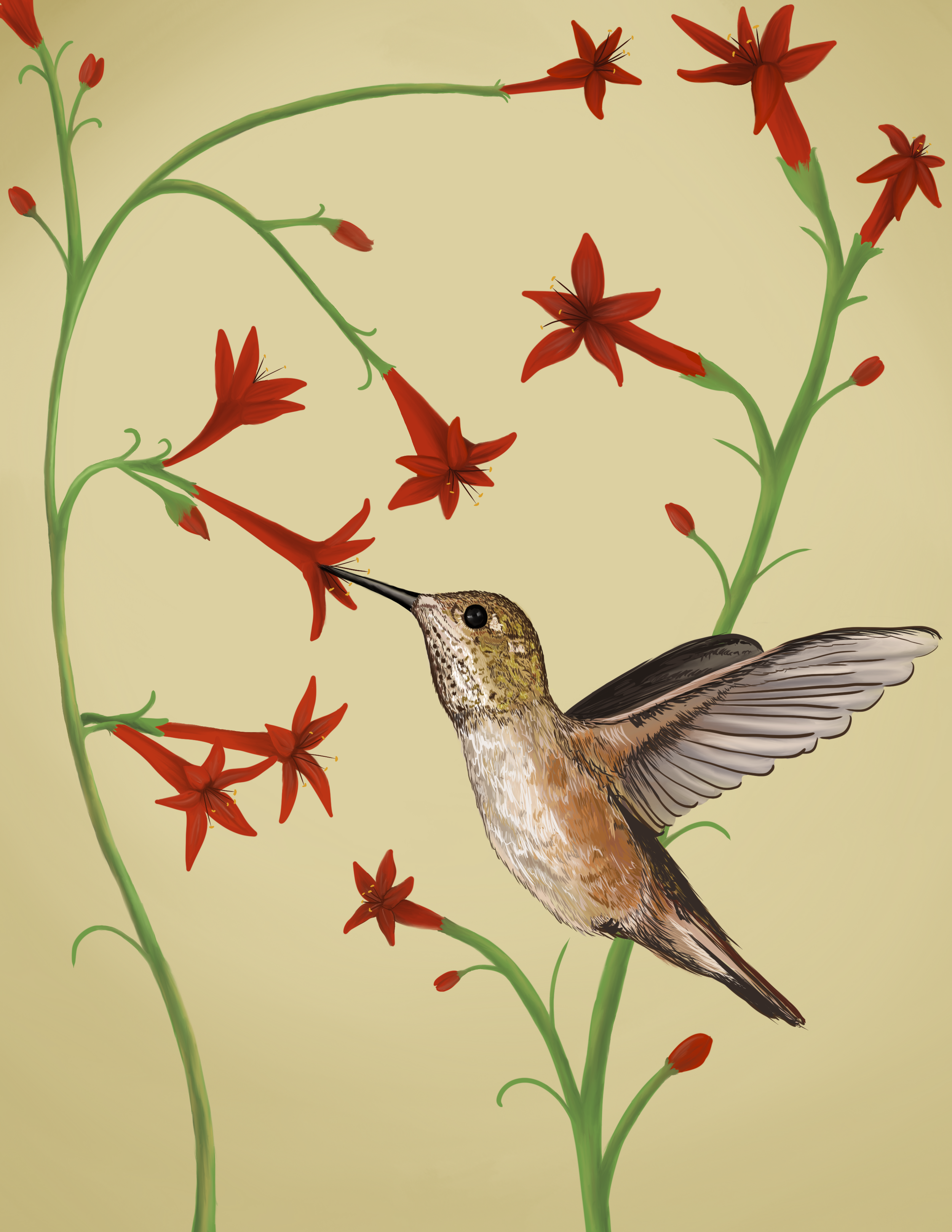 Hummer.png