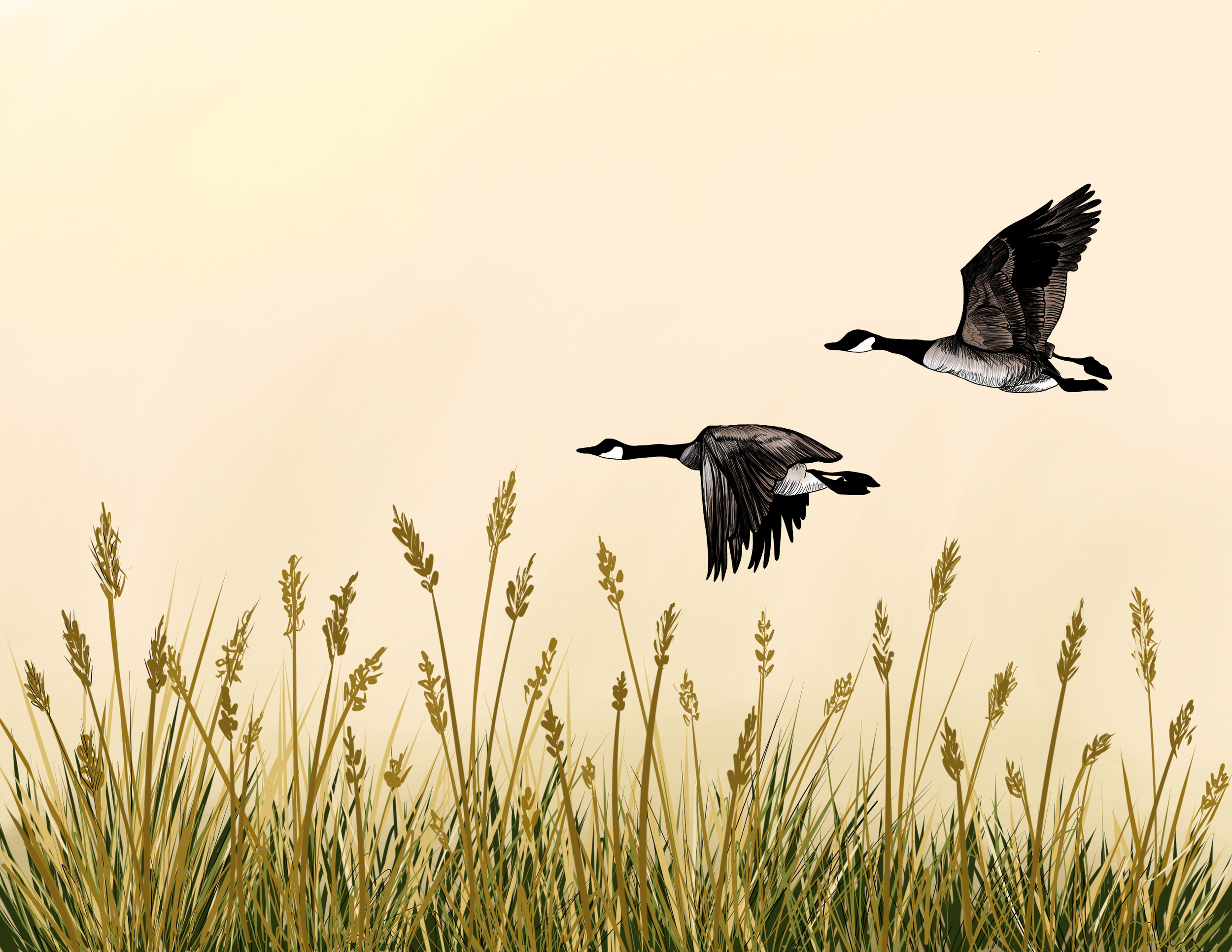 Goose.png