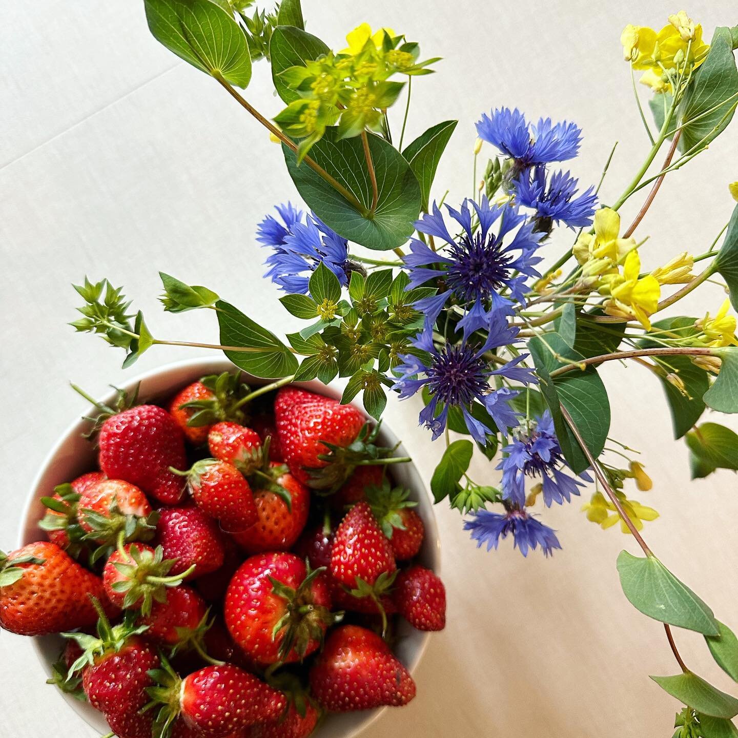 Today&rsquo;s harvest! Just like that, it&rsquo;s strawberry and cut-flower season. 😍 I grow everbearing strawberries in my kitchen garden and look forward to harvesting throughout the summer and into fall! The yellow flowers are from my bolted arug