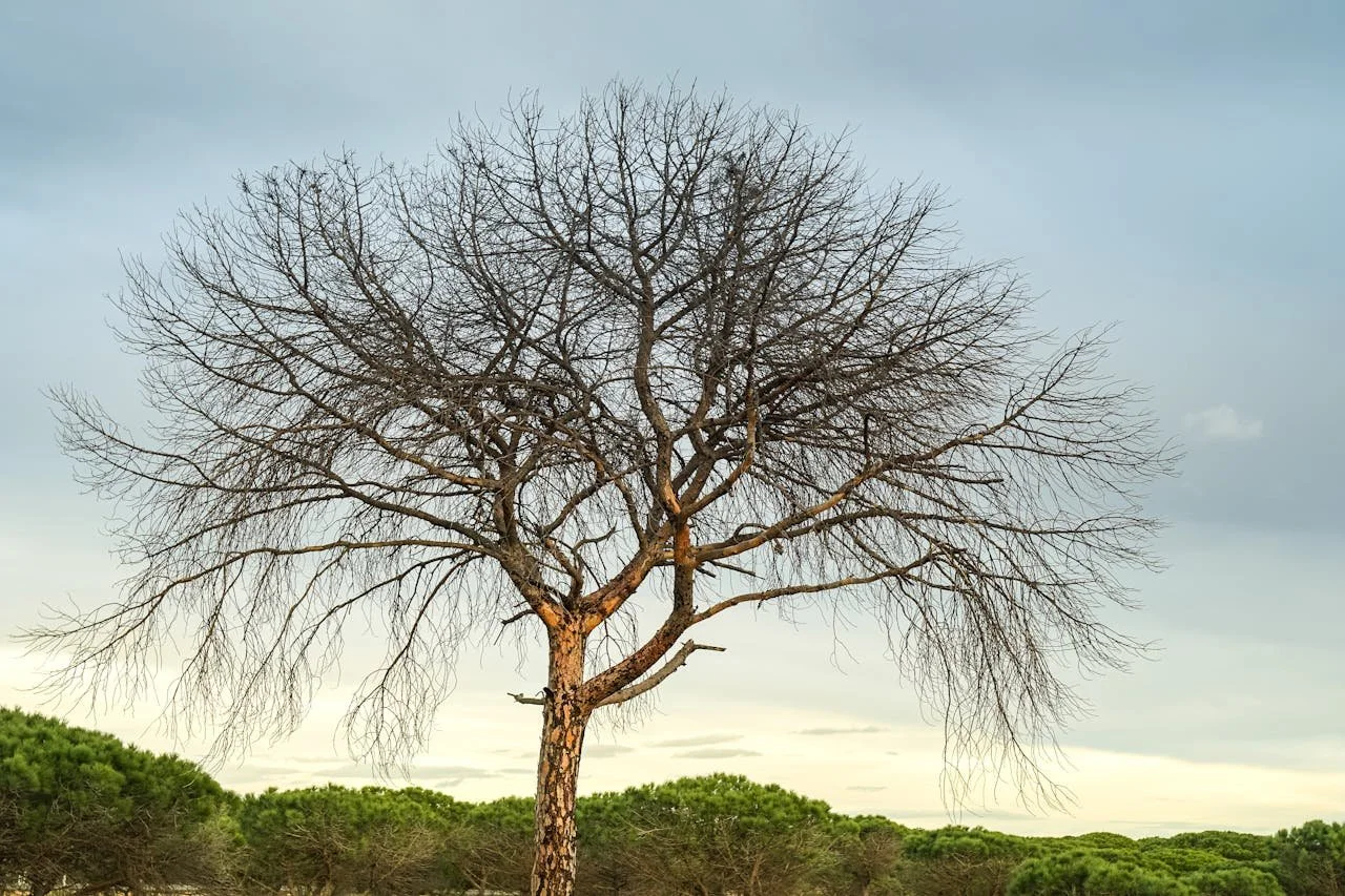 ¿Por qué las PyMEs pierden dinero sin darse cuenta?