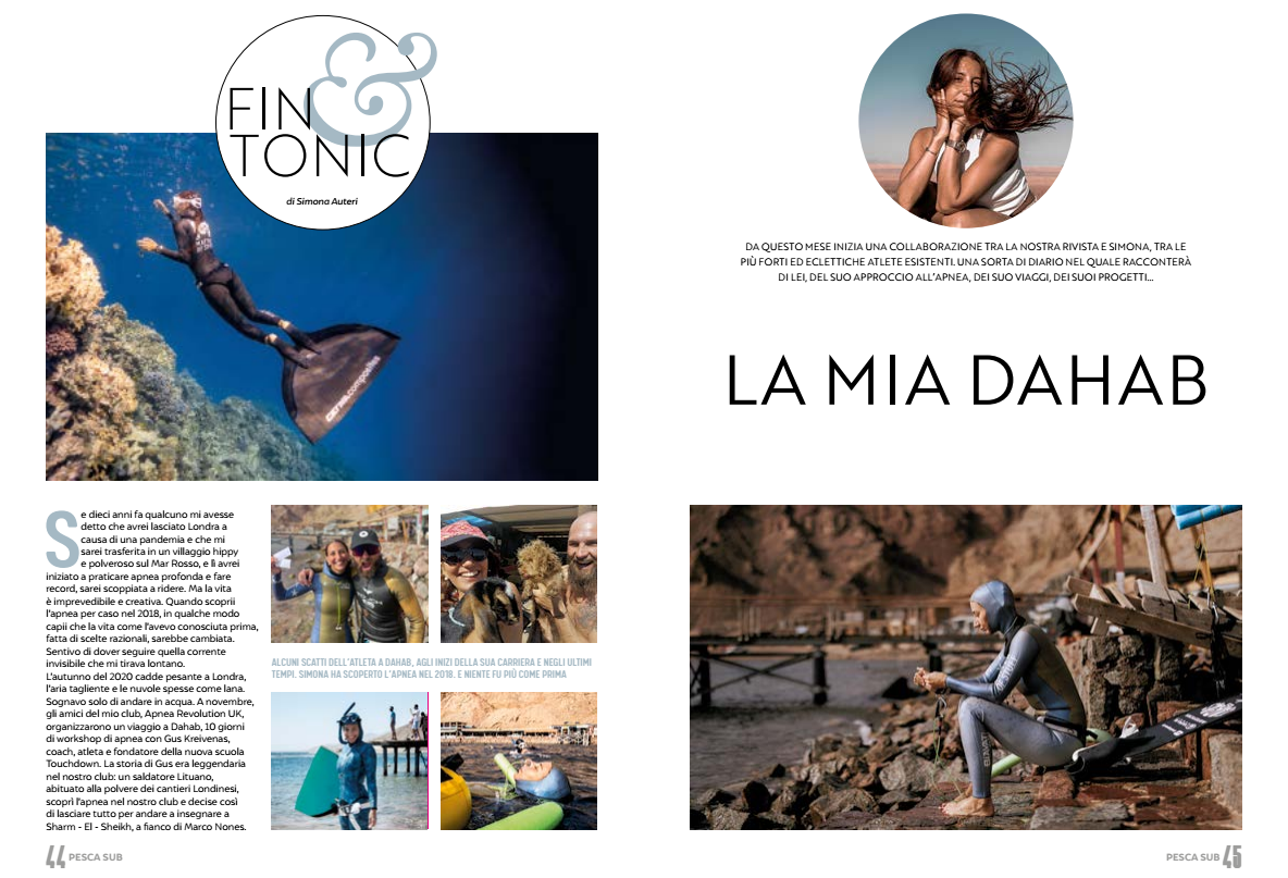 434_fin and tonic 4 pagiune OK conv 0.png