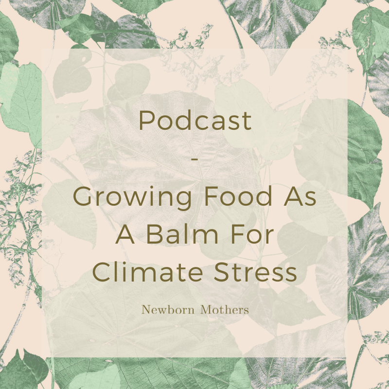 Podcast - Episode 47 - Growing Food As A Balm For Climate Stress