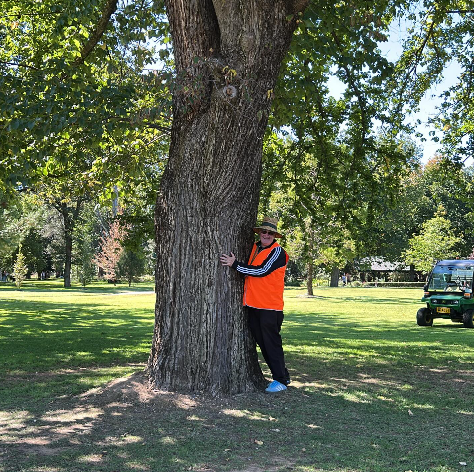 Tree Hugging World Record Attempt
