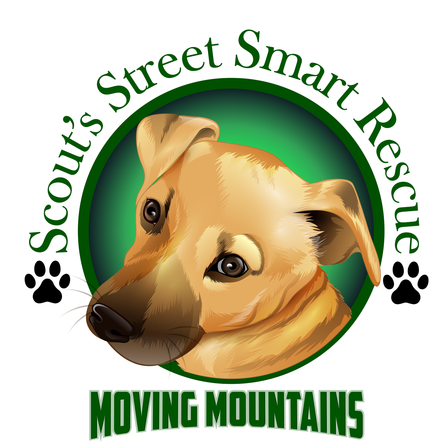 Scouts Street Smart Rescue