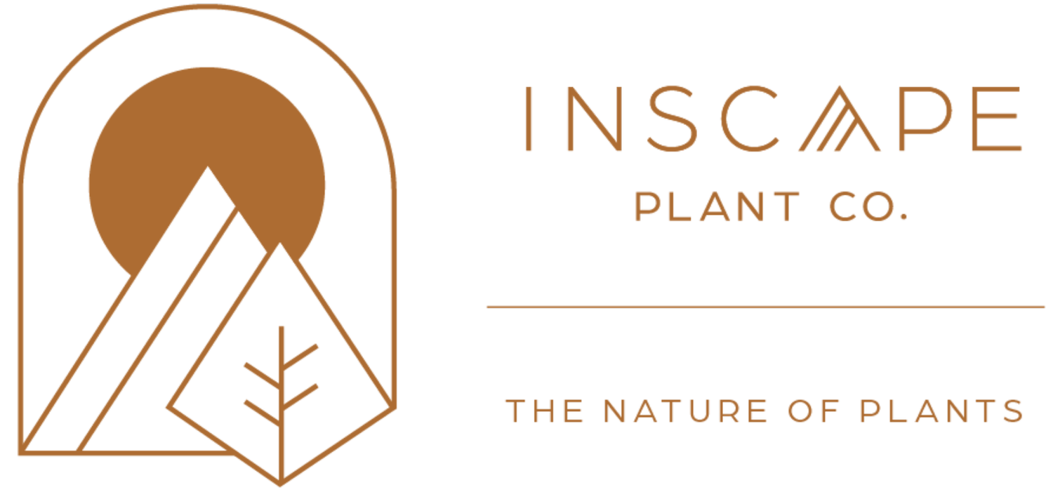  Inscape Plant Co
