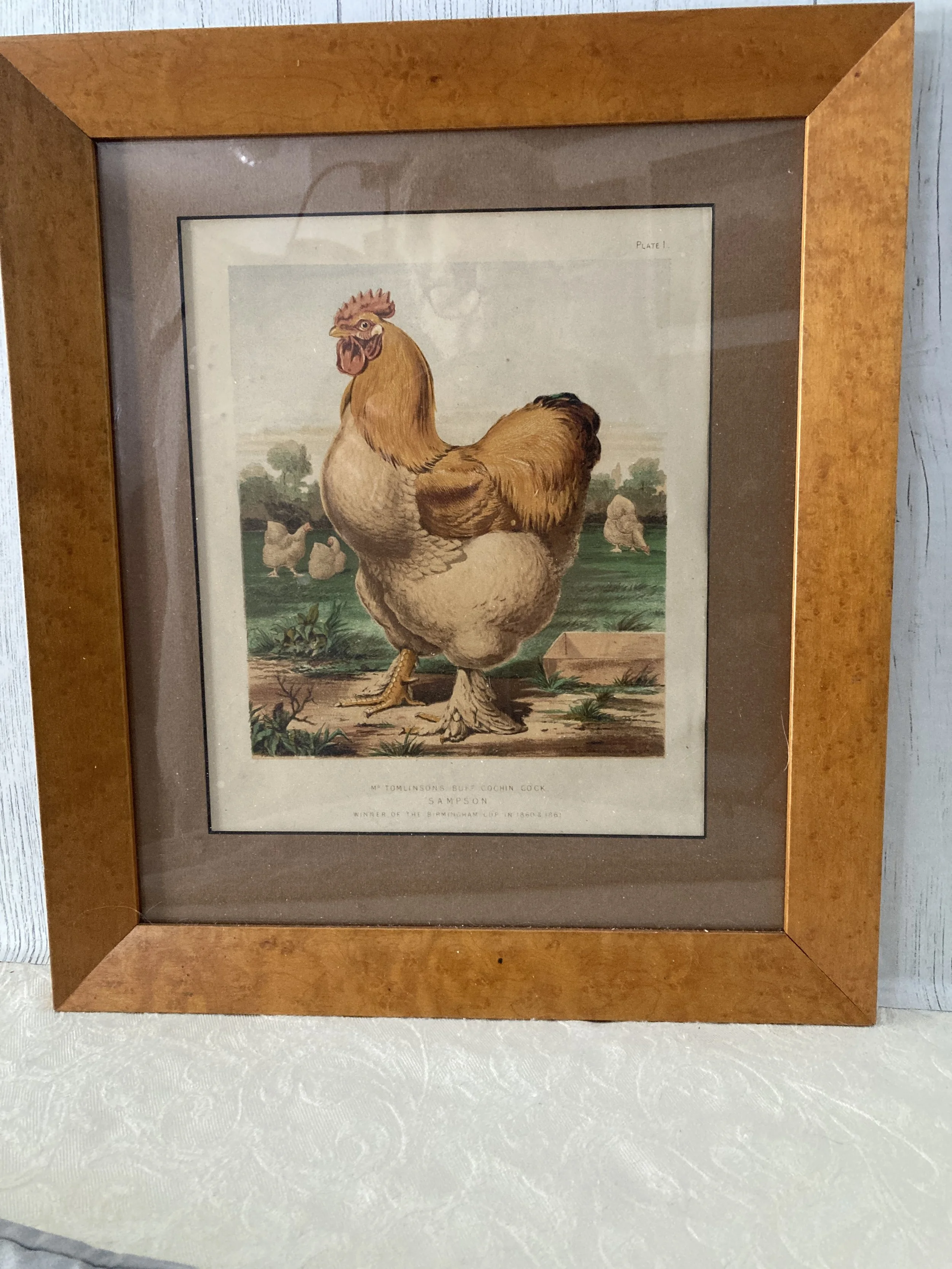 Rustic Americana Rooster Farm Art