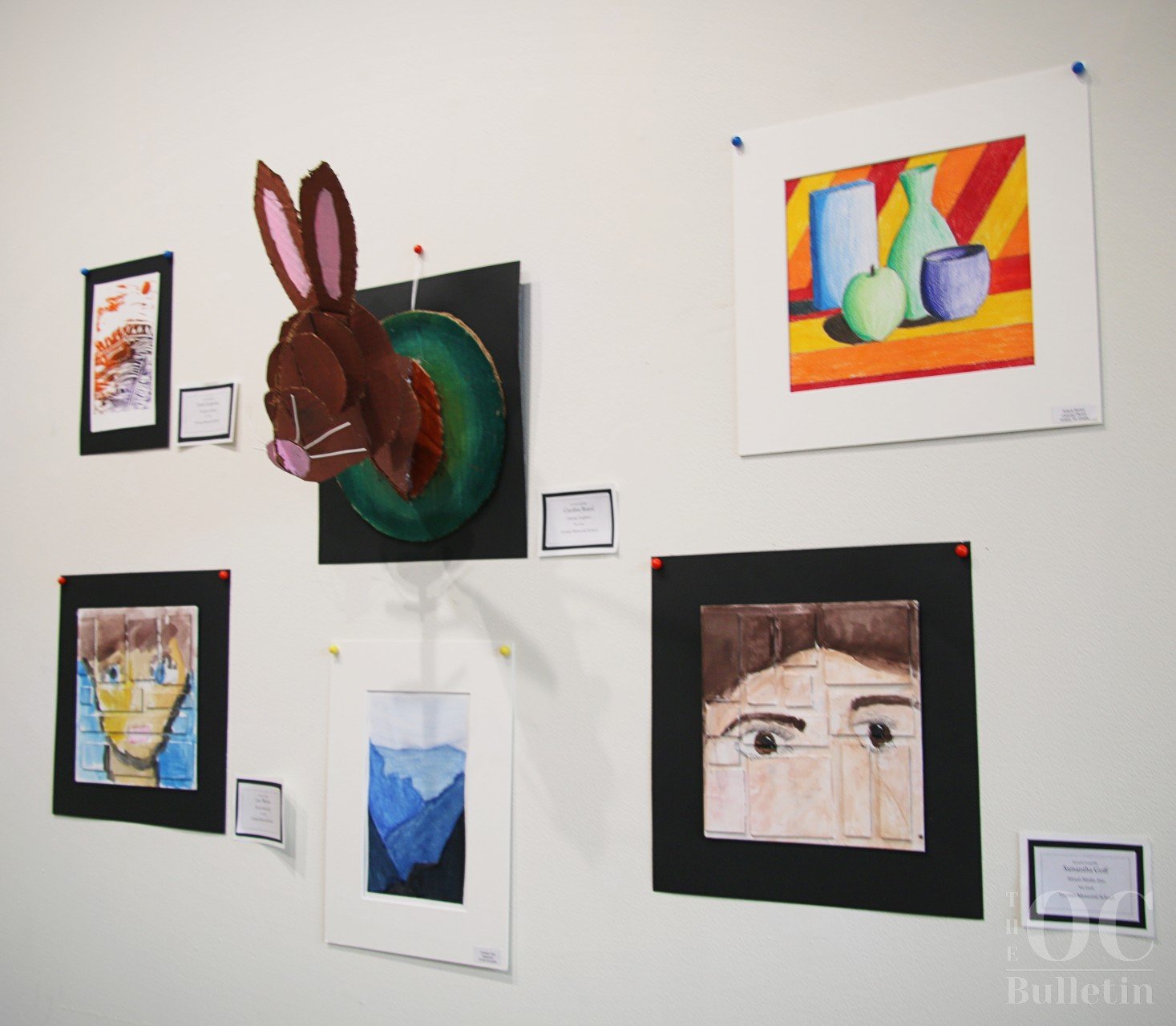  The “Young Visions” exhibit features student artwork from each of the nine Orange County public schools as well as Grymes Memorial School. (Photo Credit: Andra Landi) 