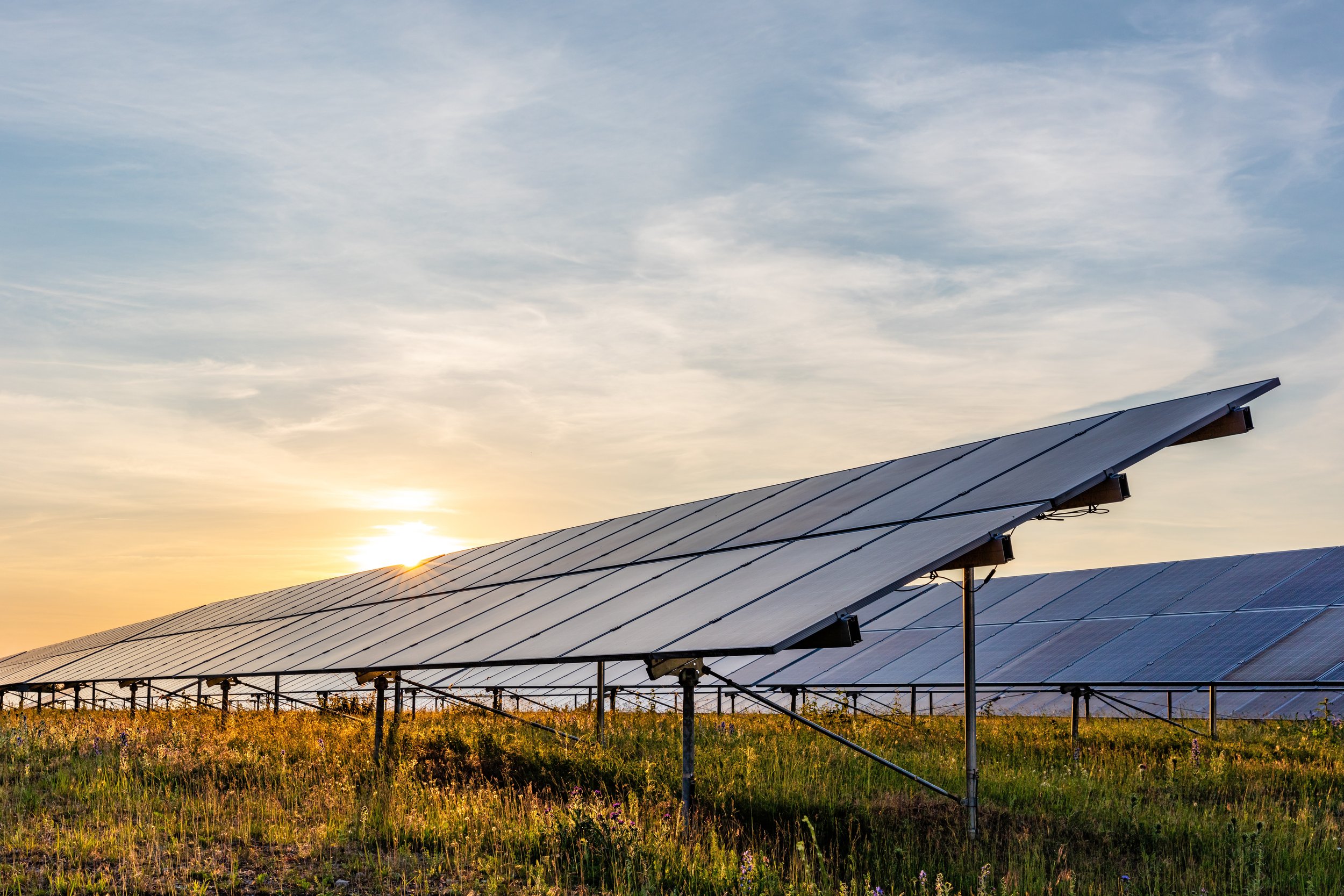 Florida-based company ESA has applied for a special use permit to build a solar farm in the area of Mayhurst Lane in Orange. (Photo Credit: Licensed Stock Image)