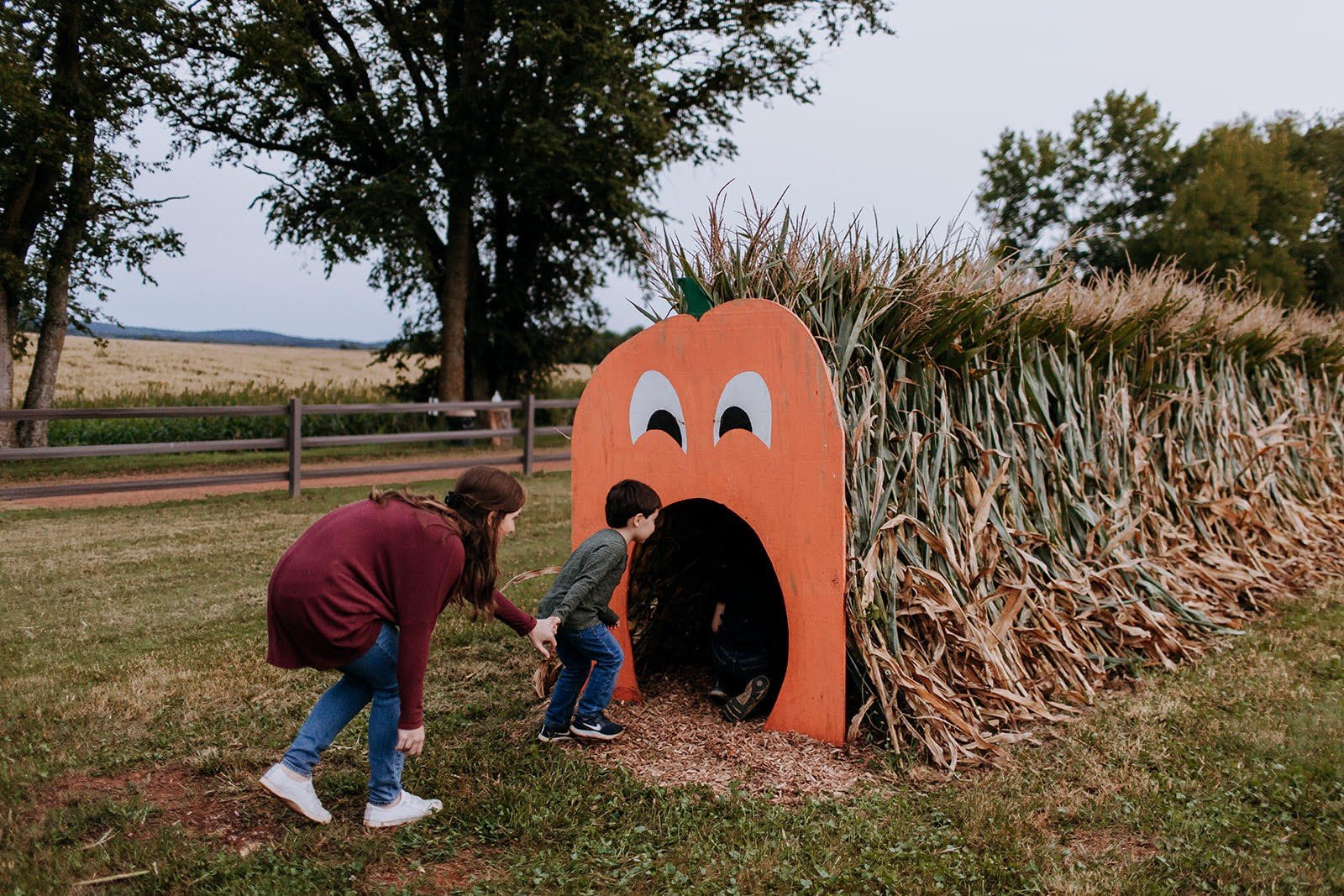 Liberty Mills Farm will hold its Fall Festival Sept. 30 to Oct. 1, with a corn maze, pumpkin patch, vendors and more. (Photo Credit: Courtesy of Liberty Mills Farm) 