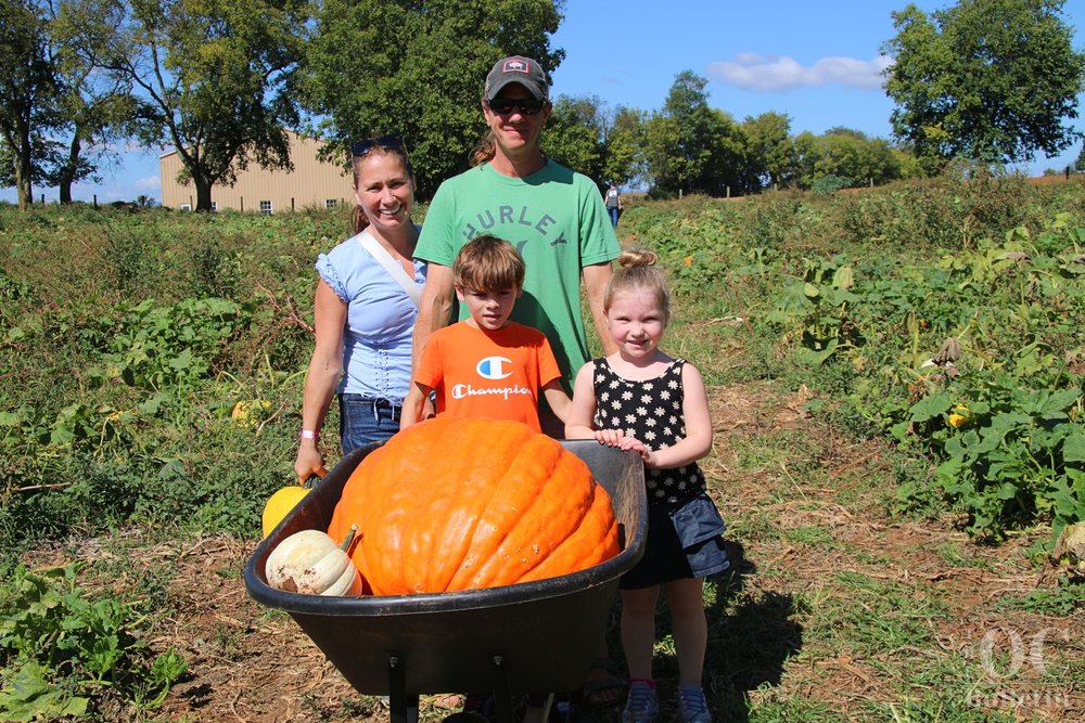  The Strothman family took home a 111-pound pumpkin from the Liberty Mills Fall Farm Festival on Sunday. (Photo Credit: Andra Landi) 
