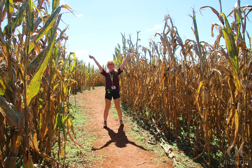  Liberty Mills employee M Cole enthusiastically  leads a tour of the corn maze on Oct. 1. (Photo Credit: Andra Landi) 