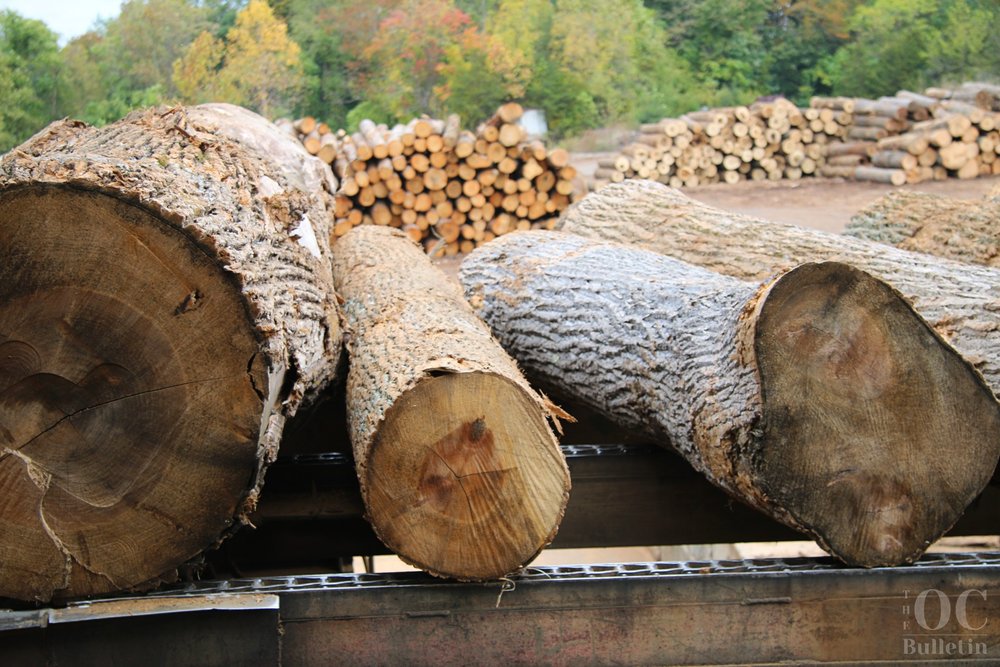  State officials visited Robert S. Coleman Lumber Company on Oct. 18 during Virginia’s Forest Products Week. (Photo Credit: Andra Landi) 