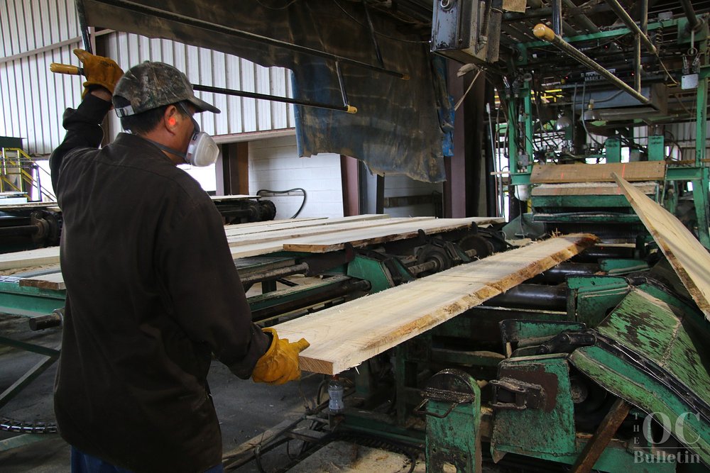 An employee at Robert S. Coleman Lumber Company feeds hardwood planks into an edger. (Photo Credit: Andra Landi) 