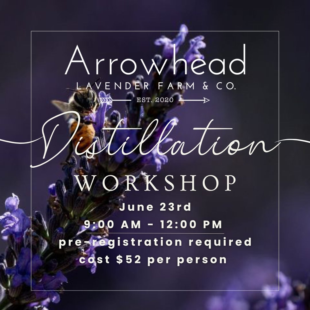 Essential Oil Distillation 101