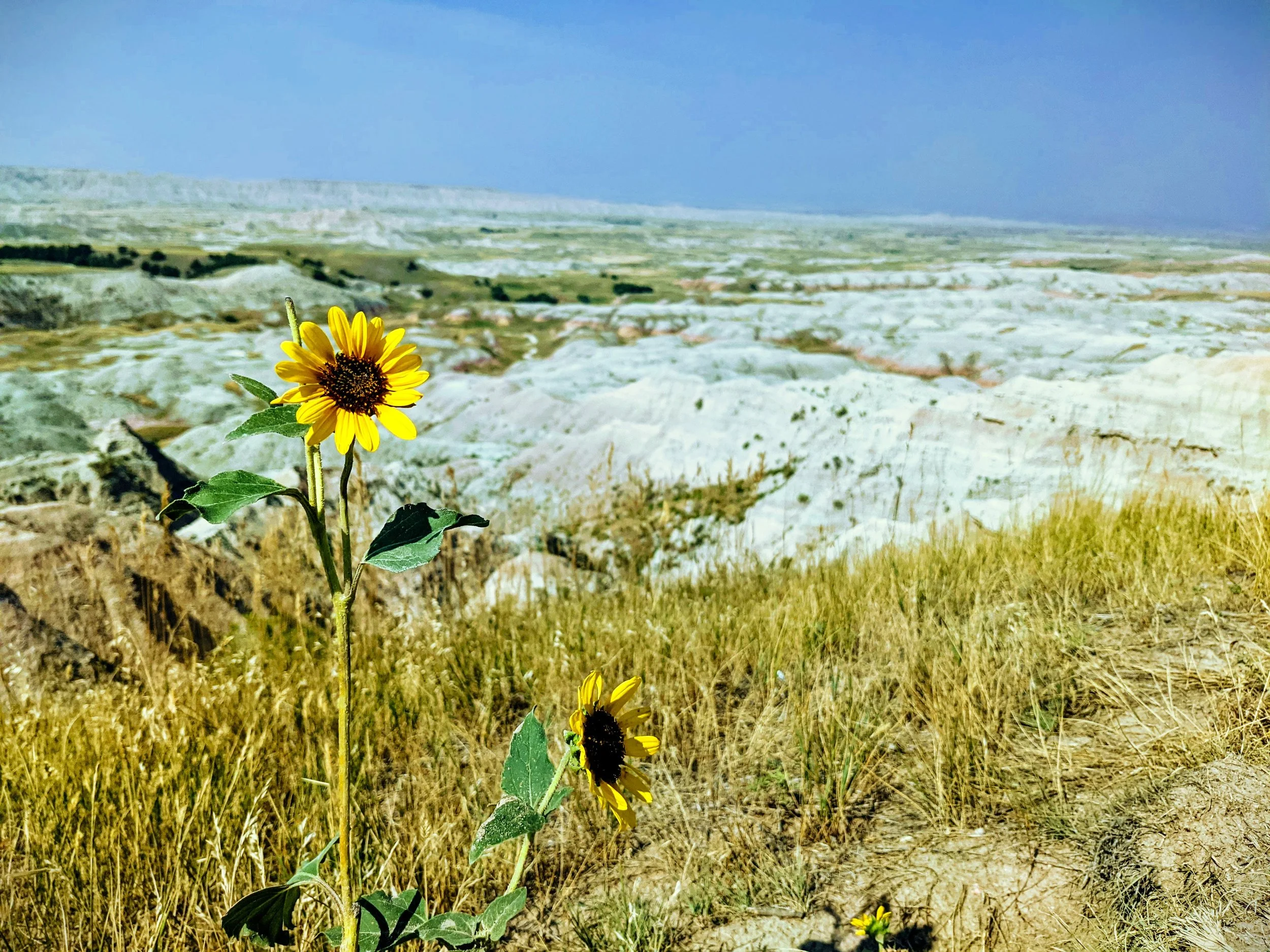 Finding your balance: Creating Adaptive Structure