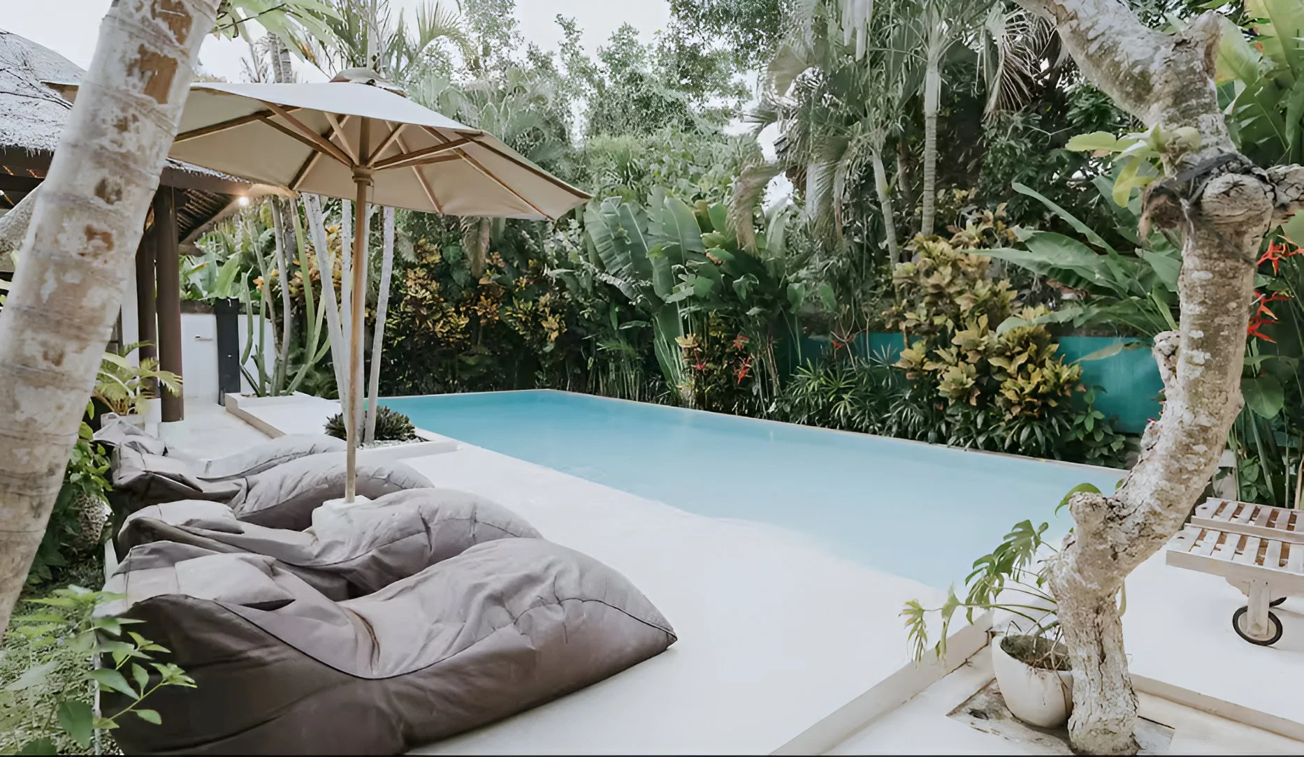 Web_Photo_Editor (1).jpg