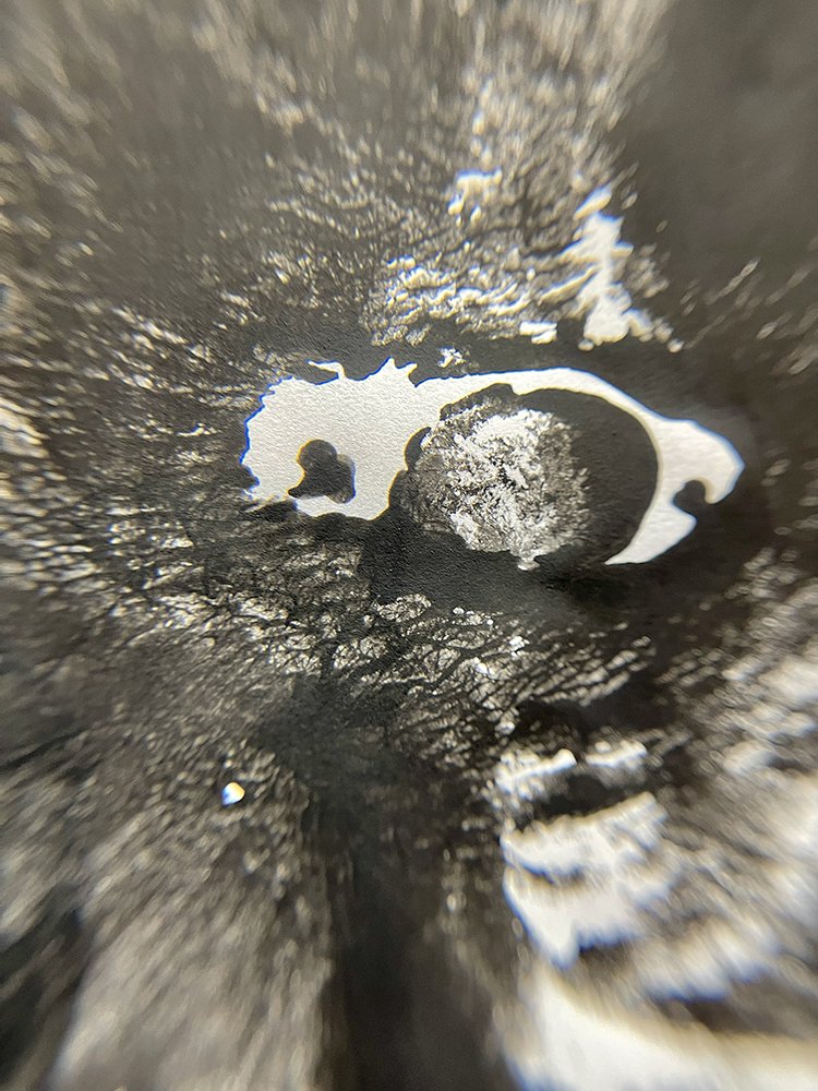 frey-interoculum.jpg