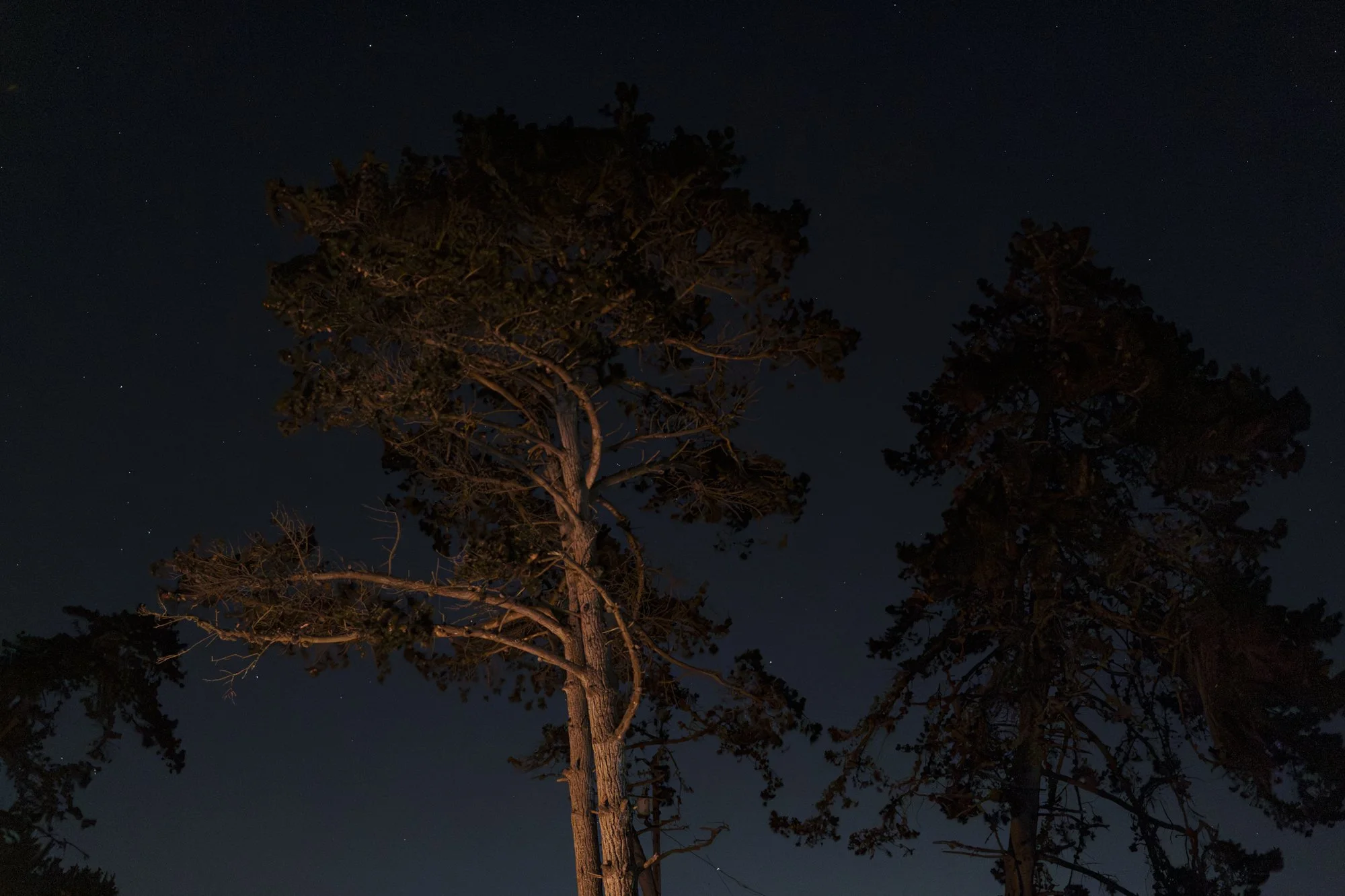 waiting for star fall