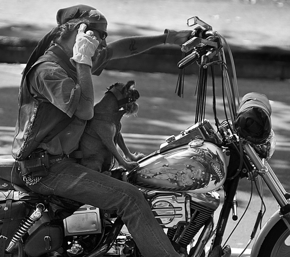 brian-tramontana-8.jpg