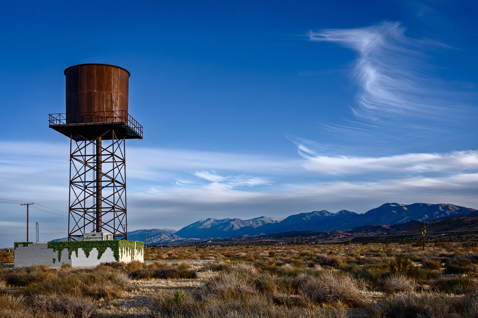 Fauxliage - Fake on Fake, Palmdale, CA