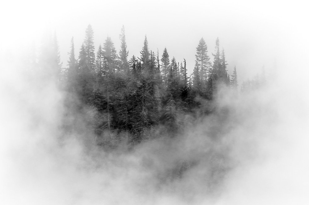 alan-sund-51.jpg