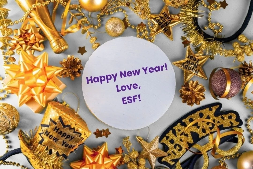 Happy New Year from The Elaine Symone Foundation!🎊

Thank you for being part of our community. Together, we&rsquo;ll continue bringing hope, comfort, and care to NICU families, and families beyond, today and throughout 2026.💜🧡✨ 

#HappyNewYear #20