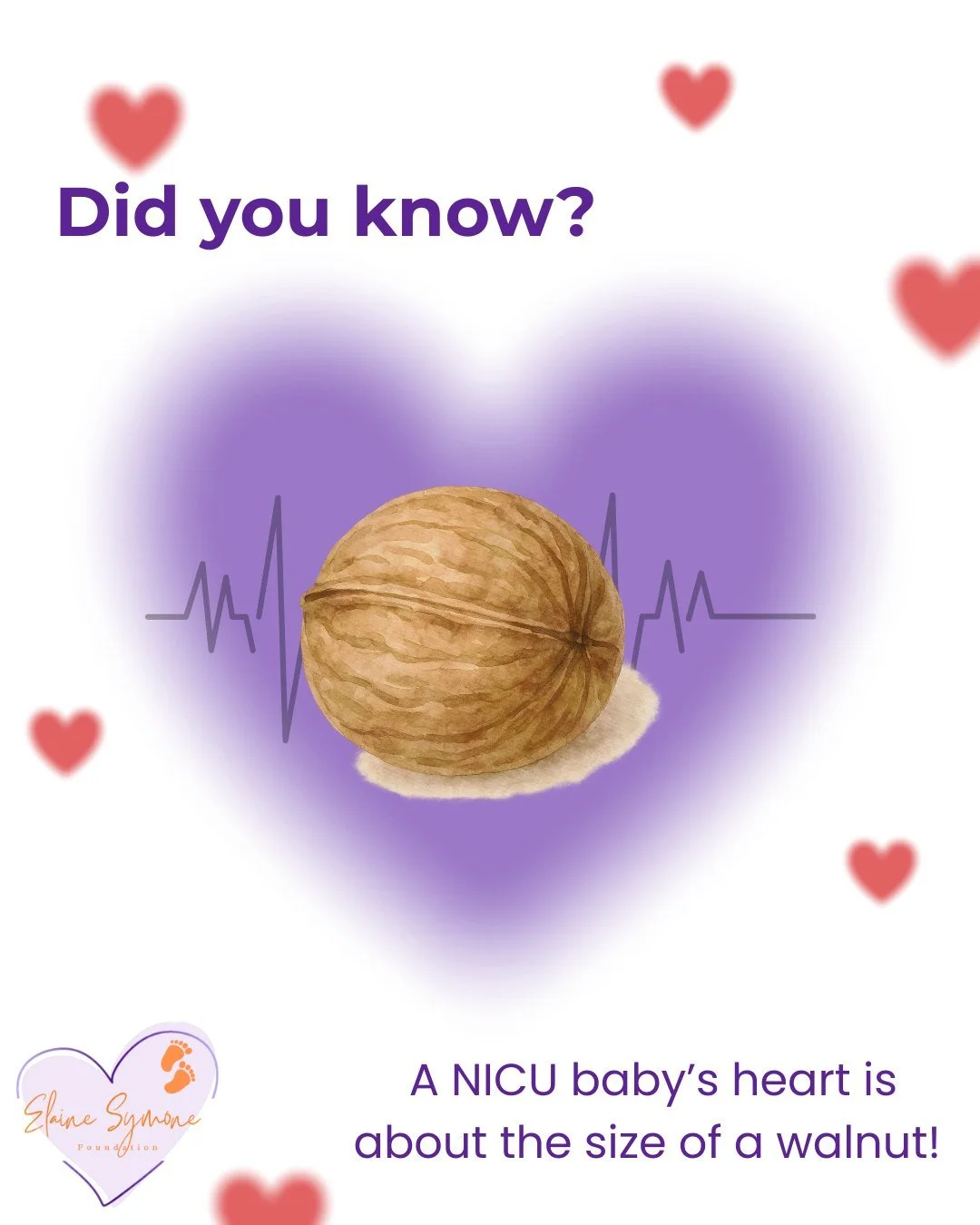 NICU Fun Fact for American Heart Month:
A NICU baby&rsquo;s heart is about the size of a walnut🌰

According to the @marchofdimes, 1 in 100 babies is born with a heart defect.

Let this walnut be proof that the smallest hearts can be the strongest🥹❤