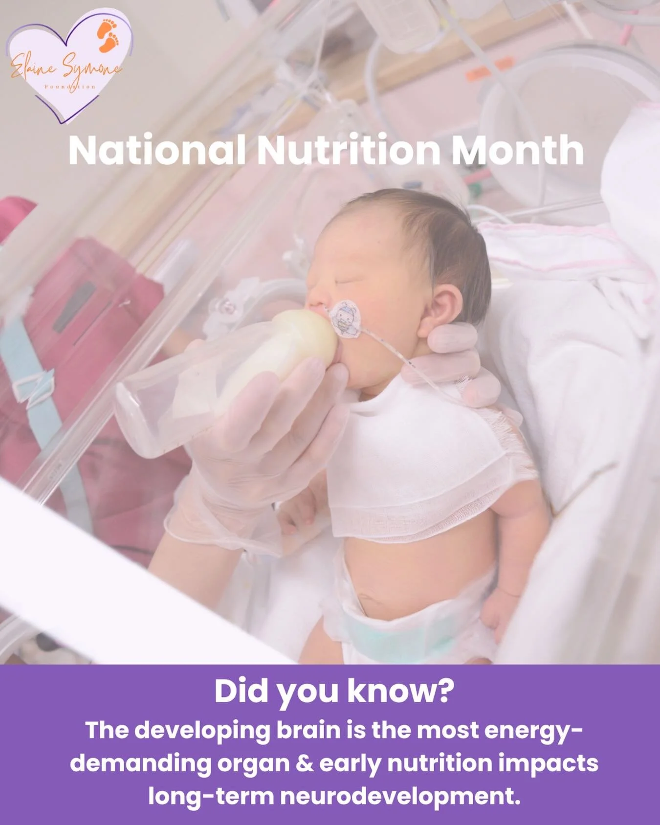 During National Nutrition Month, we&rsquo;re sharing why nutrition plays such a critical role in the NICU.

In babies born prematurely, the brain is growing at an increased pace and requires a significant amount of energy to support that development.