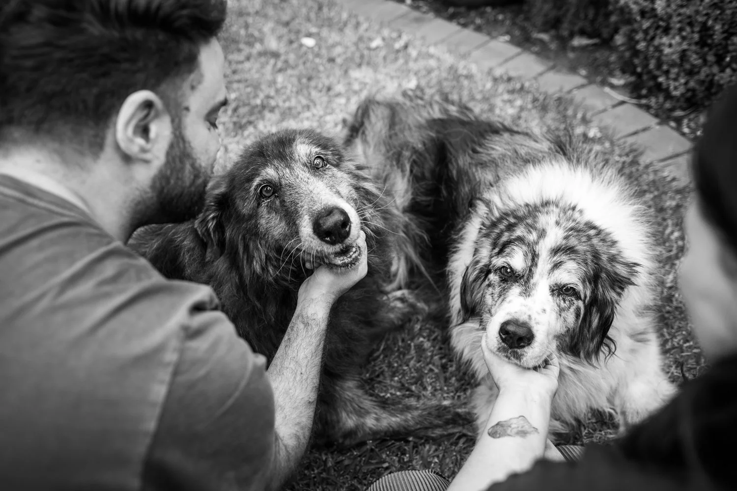 How to Create a Peaceful Goodbye: Personalising Your Pet’s Final Moments