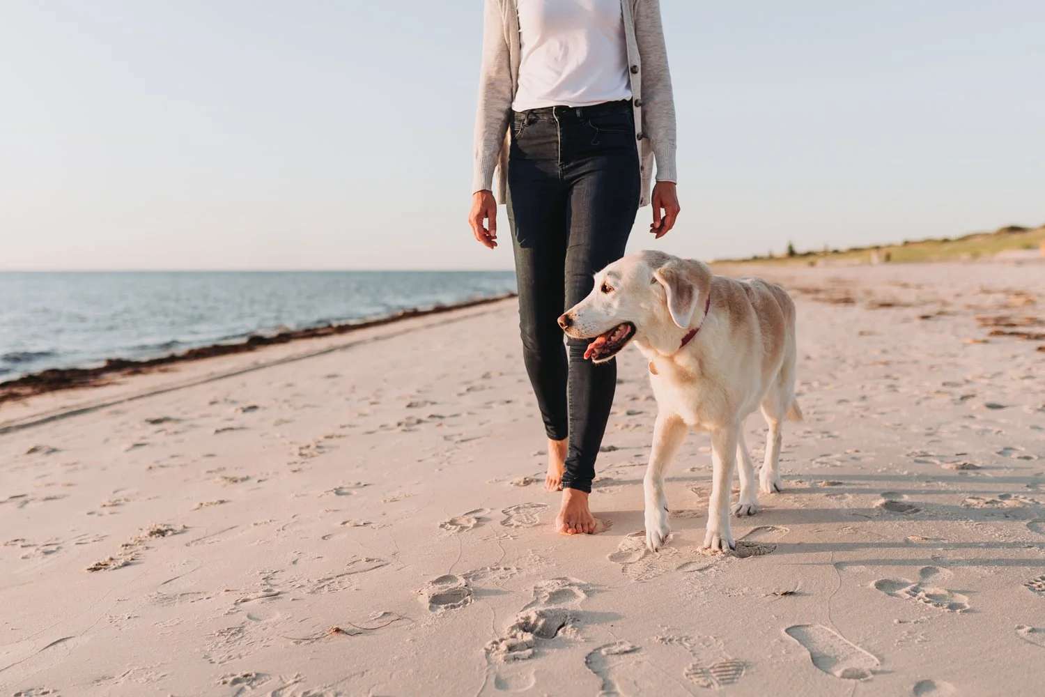 Grieving When Others Don’t Understand: Finding Support After Pet Loss