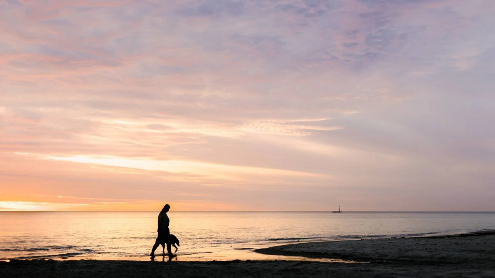 When Your Pet Has a Terminal Diagnosis: What to Expect and How to Prepare