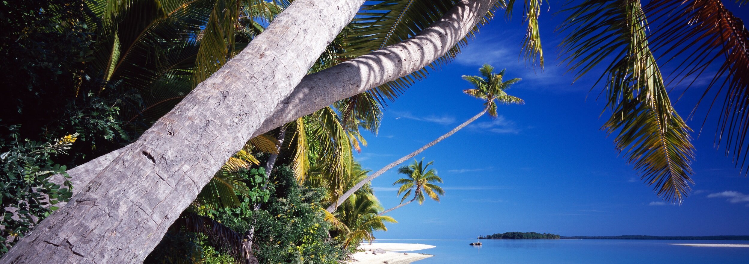 Cook+Islands.jpg