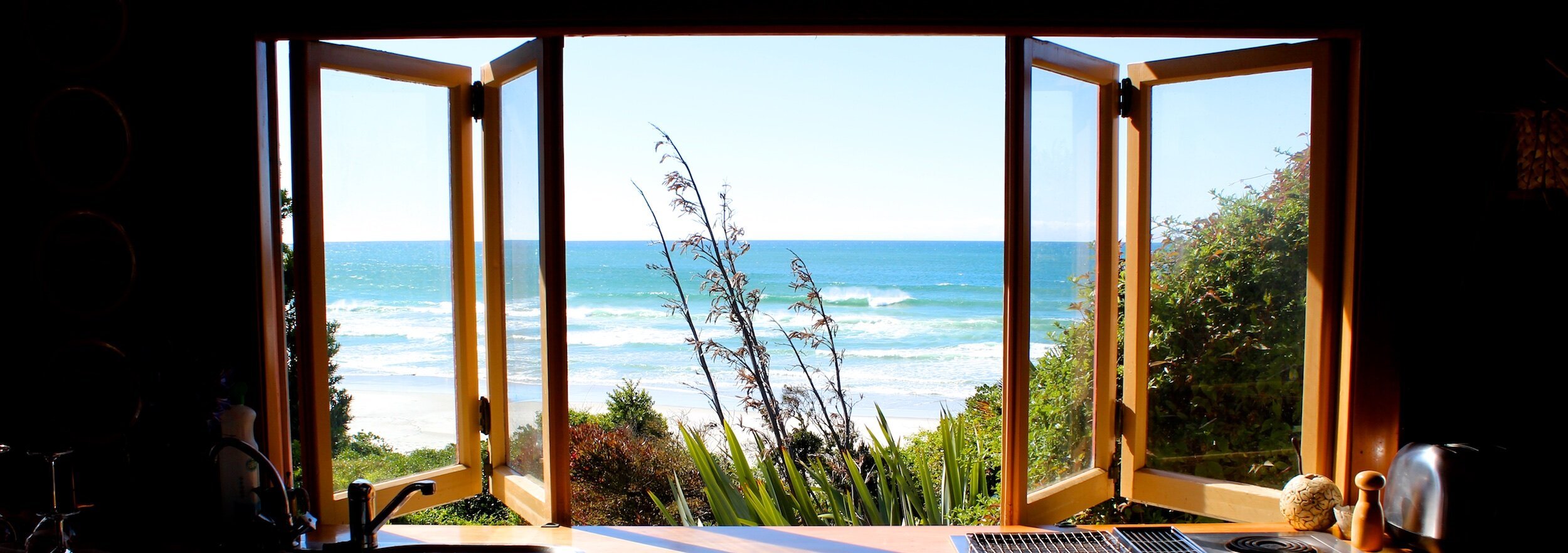 Dunedin+Window.jpg