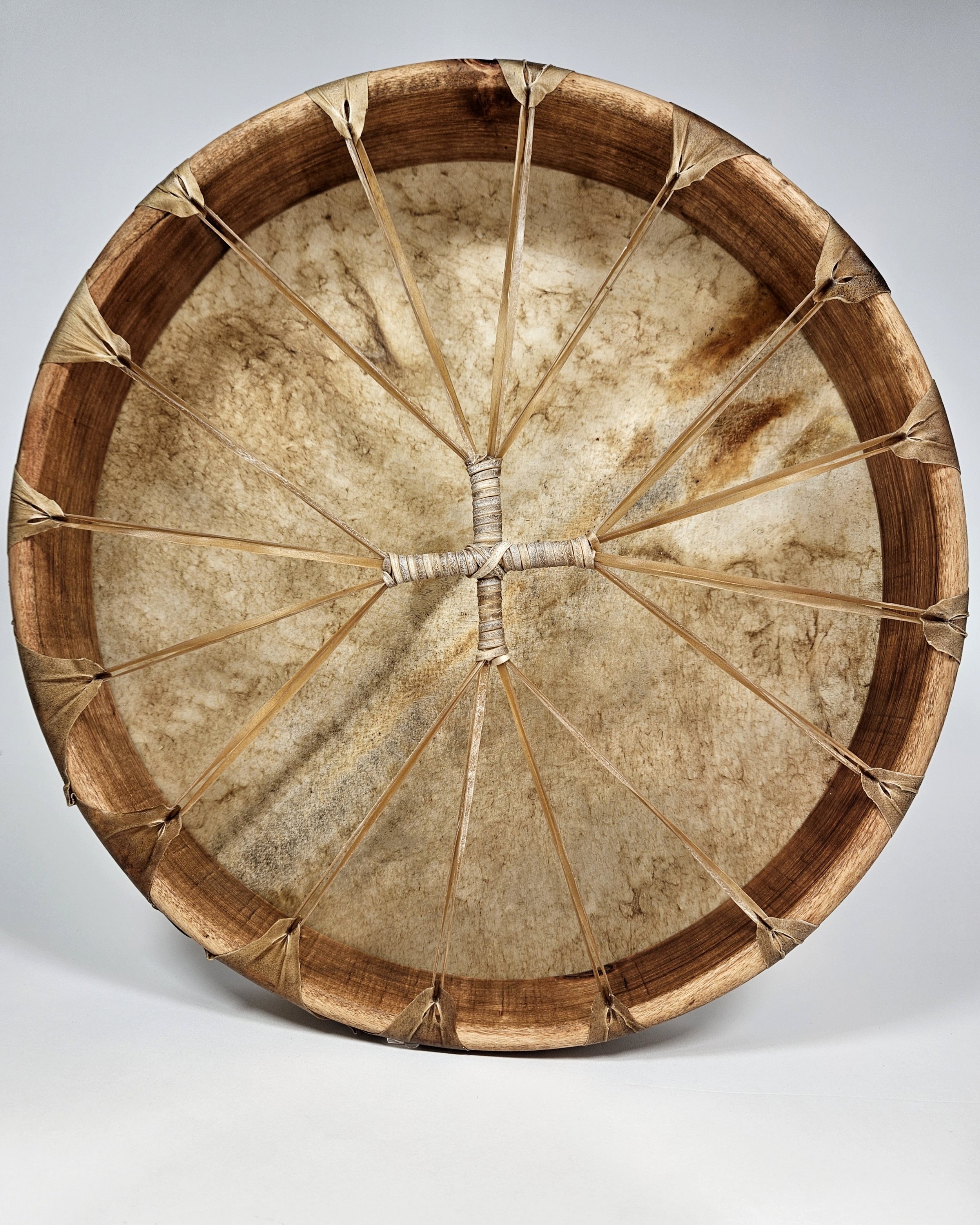 horse_spine_back_0924.jpg