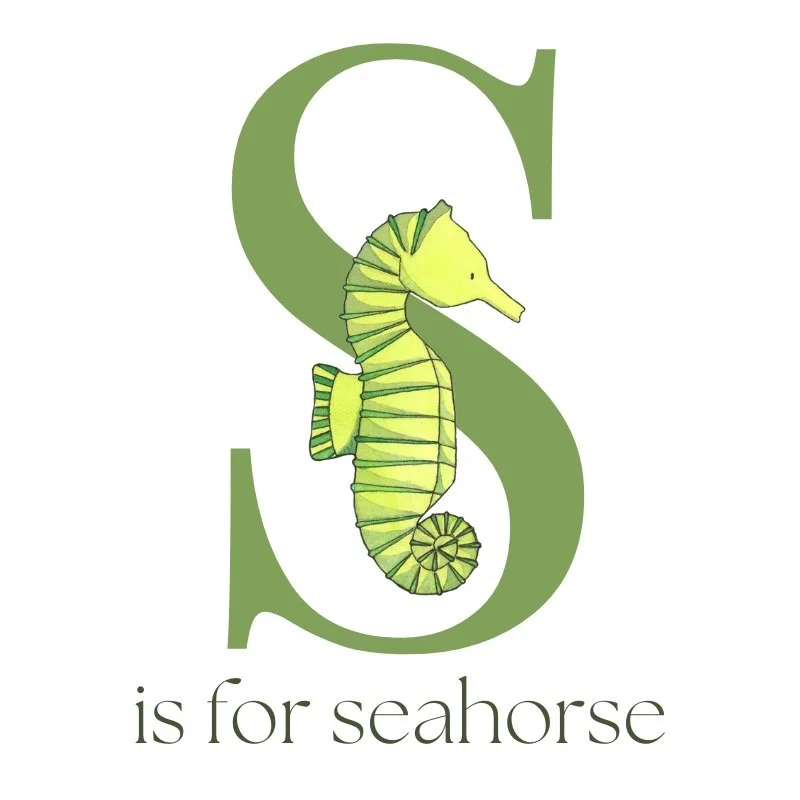 S is for Seahorse Listing.jpg