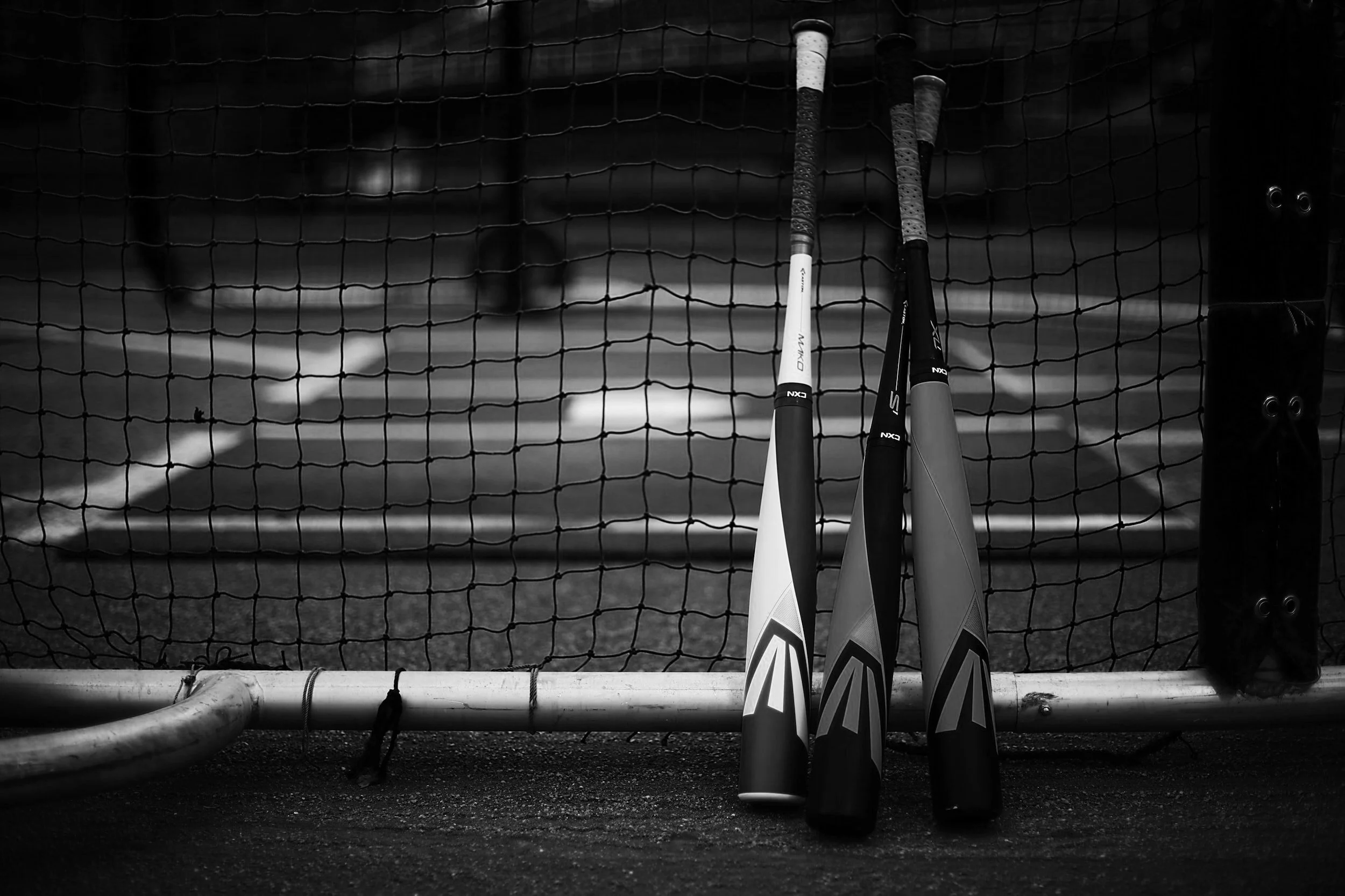 Hitting Training — Baseball Rebellion Home