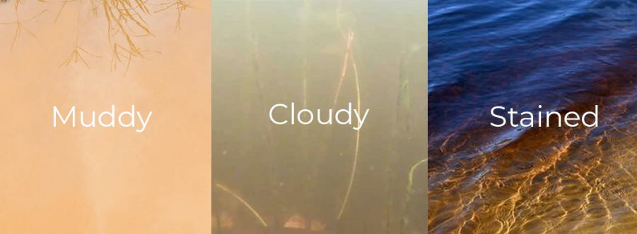 Screen Shot 2023-05-07 at 5.07.35 pm.png