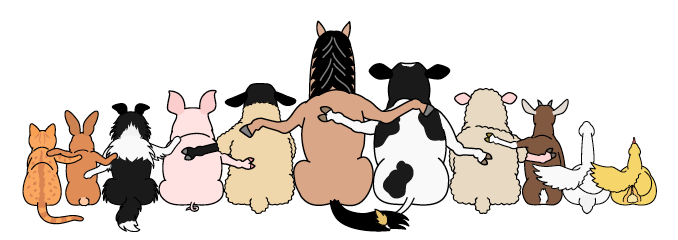 WB5.png