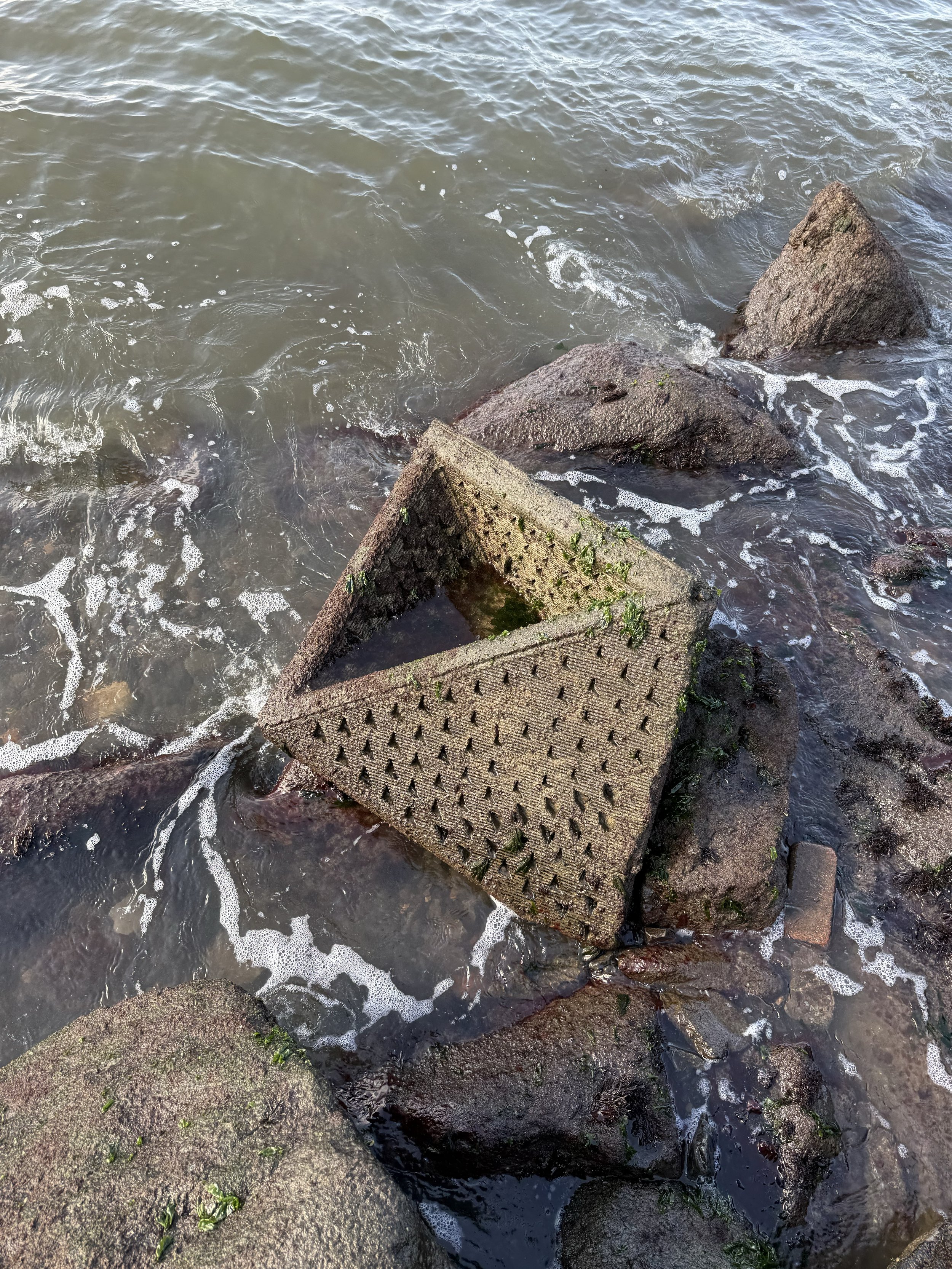 Governors Island Living Shoreline