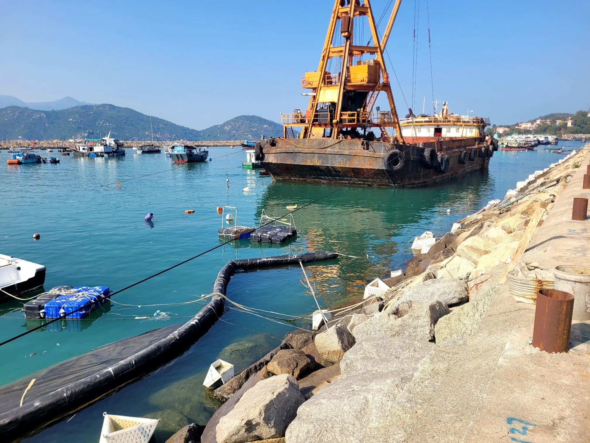 Cheung Chau Living Shoreline