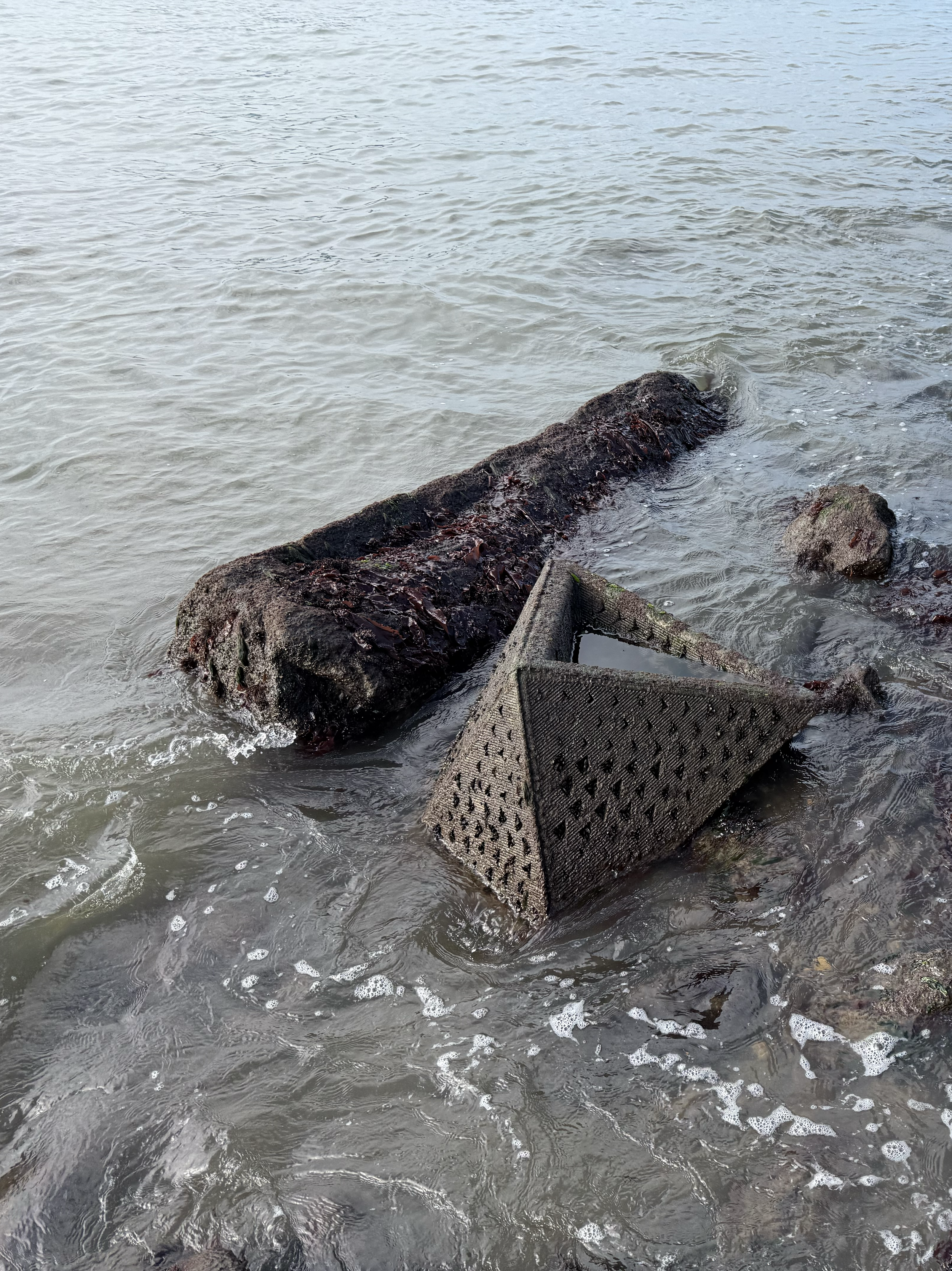 Governors Island Living Shoreline