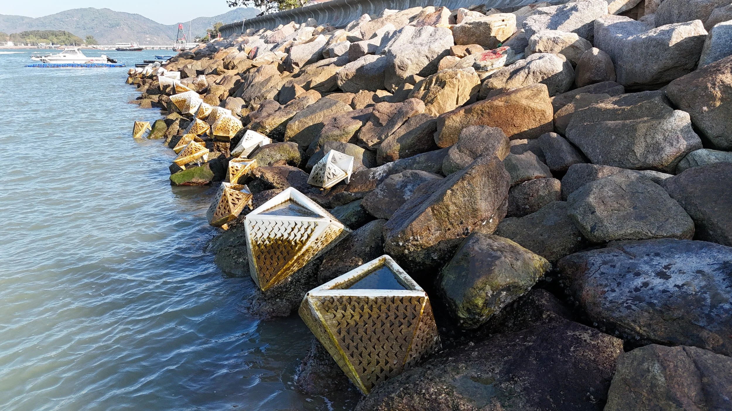Peng Chau Living Shoreline