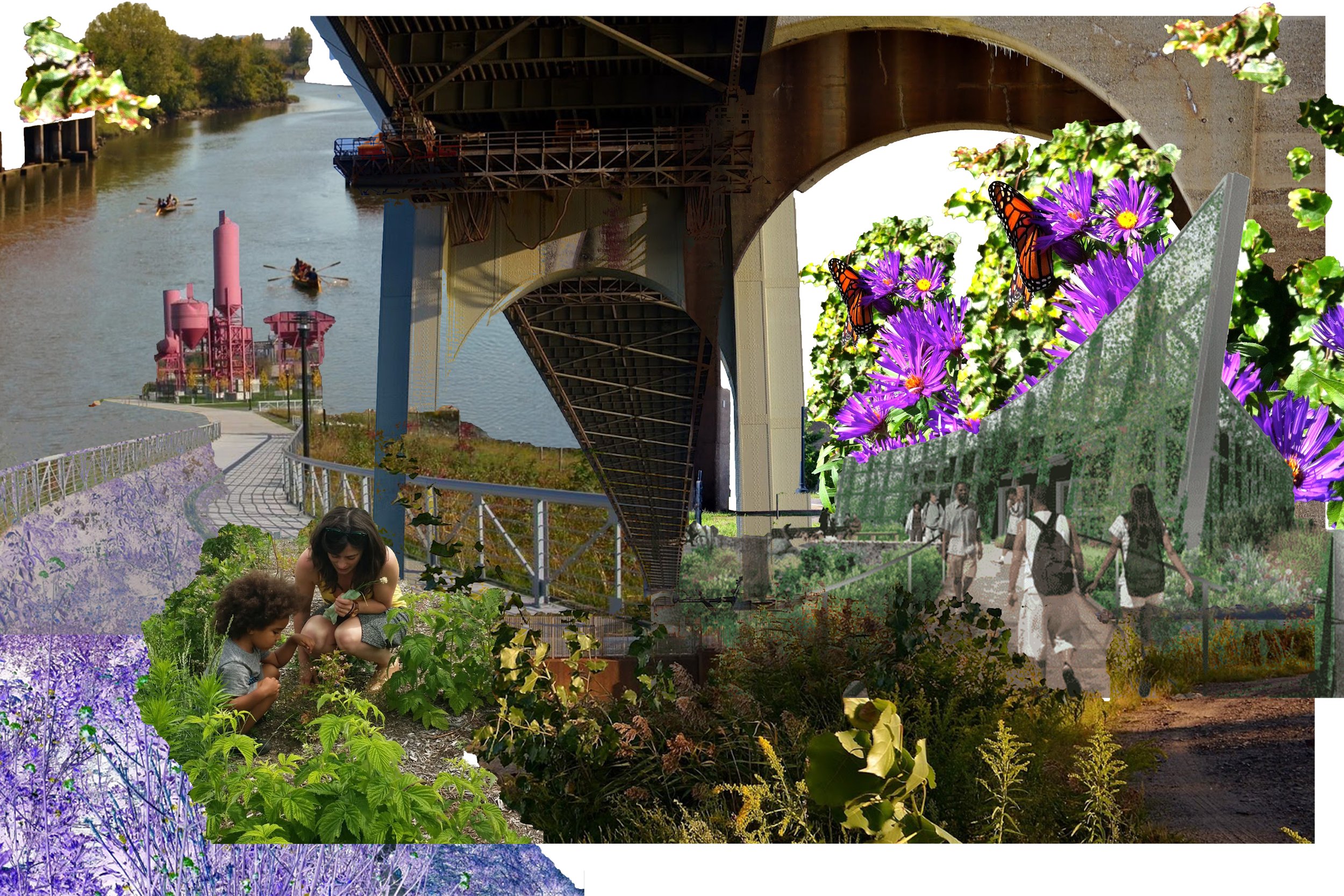 DS2 NATURE COLLAGE.jpg