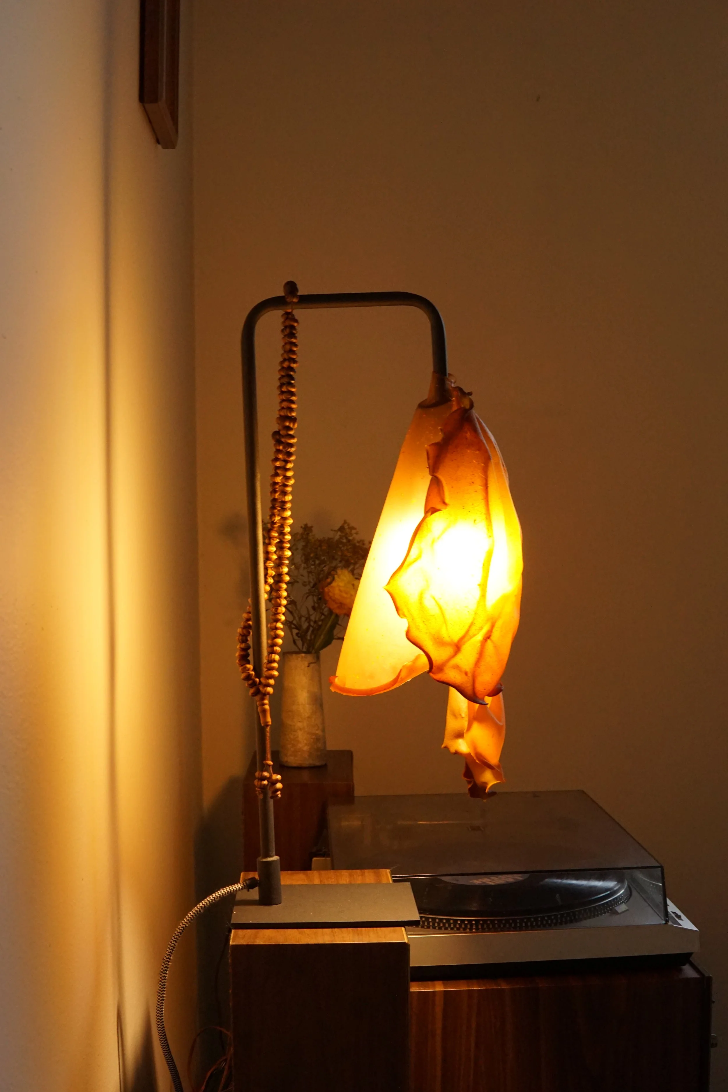 'Cocoon for a Slow Bloom' Luminary