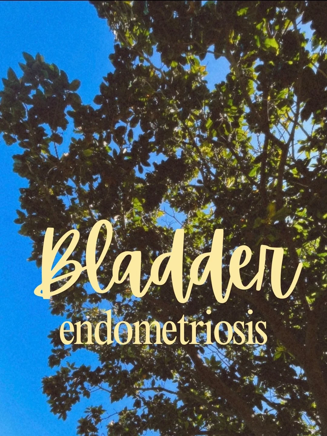 So often, endo on the bladder is missed.

People are commonly told they have IC (interstitial cystitis) aka painful bladder syndrome OR just diagnosed with recurrent UTIs (despite negative urine tests).

If people seem to have a cyclical nature to th