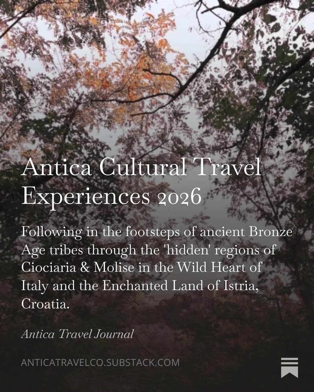 Antica Travel Journal - JAN 2026