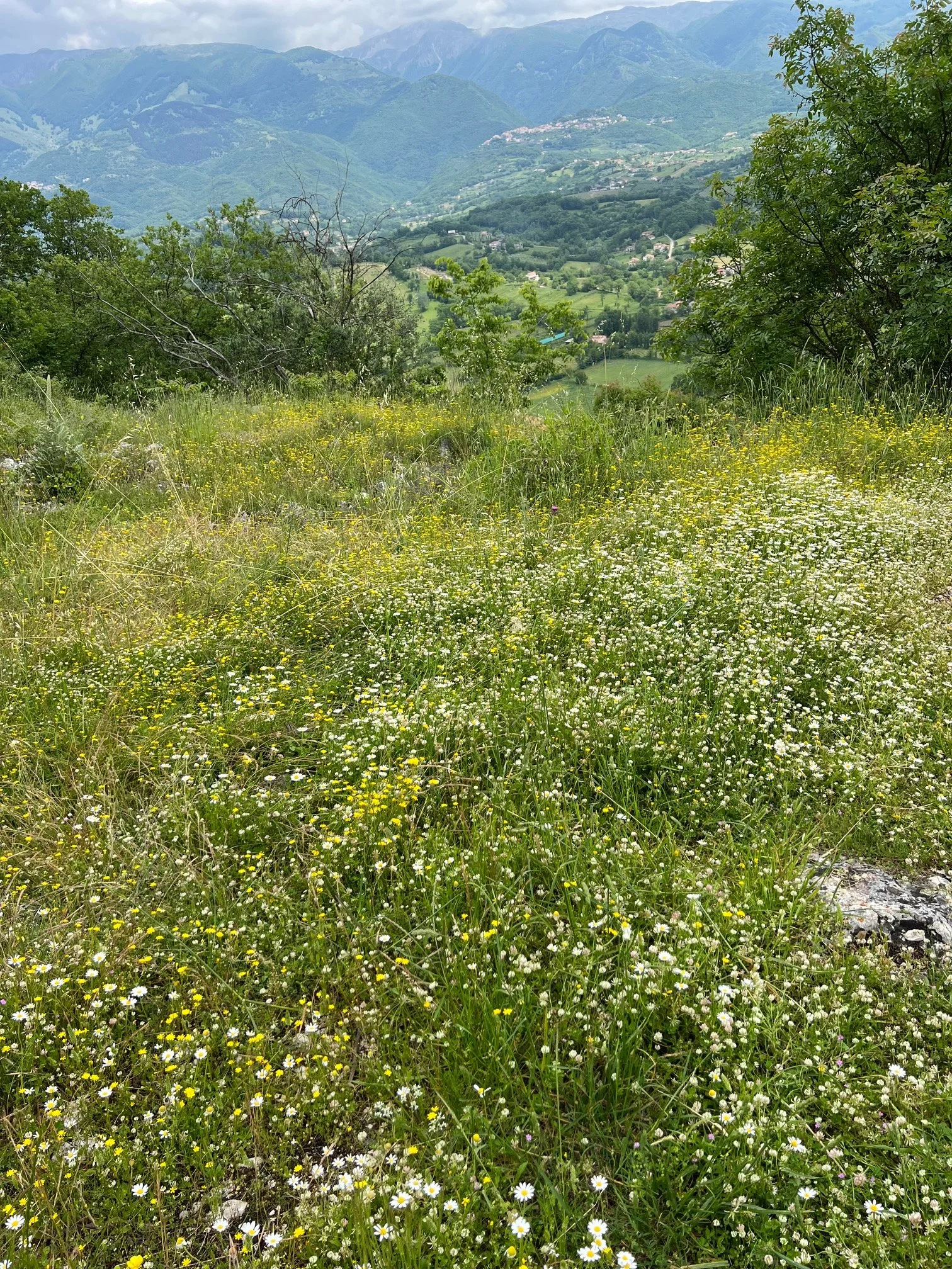 The Wild Heart of Italy in Spring - Valle di Comino, Ciociaria. Antica Travel Co